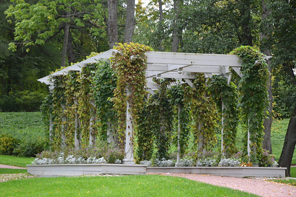 ______DSC_1991.JPG