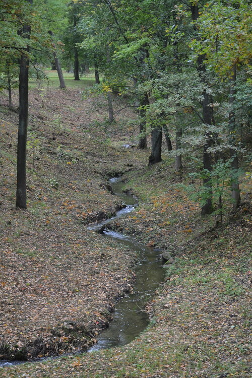 ______DSC_2027.JPG