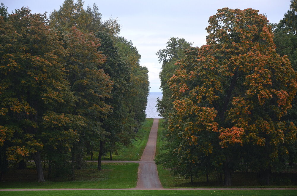 ______DSC_2043.JPG