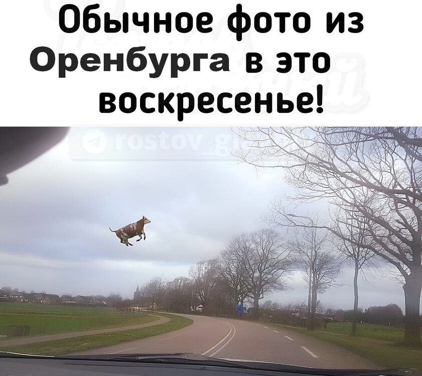 ________TtqcnWbkkL2h6nXihQdkWu_X8P3zIIEg4G7fowTDZHxM288guXX6nw2Kio6MuNb-ZMb1vtd0_m3FK5zuEKeaaq6D.jpg