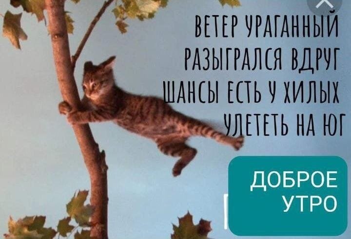 pPBQdgT4FVXXK_65ZA61UIBb7yx_dd5jdnEcHXgZR88DYzOA8AtgnX8iypwcgtdAInOlpPSHtBo2SCJIJgrUbrYe.jpg