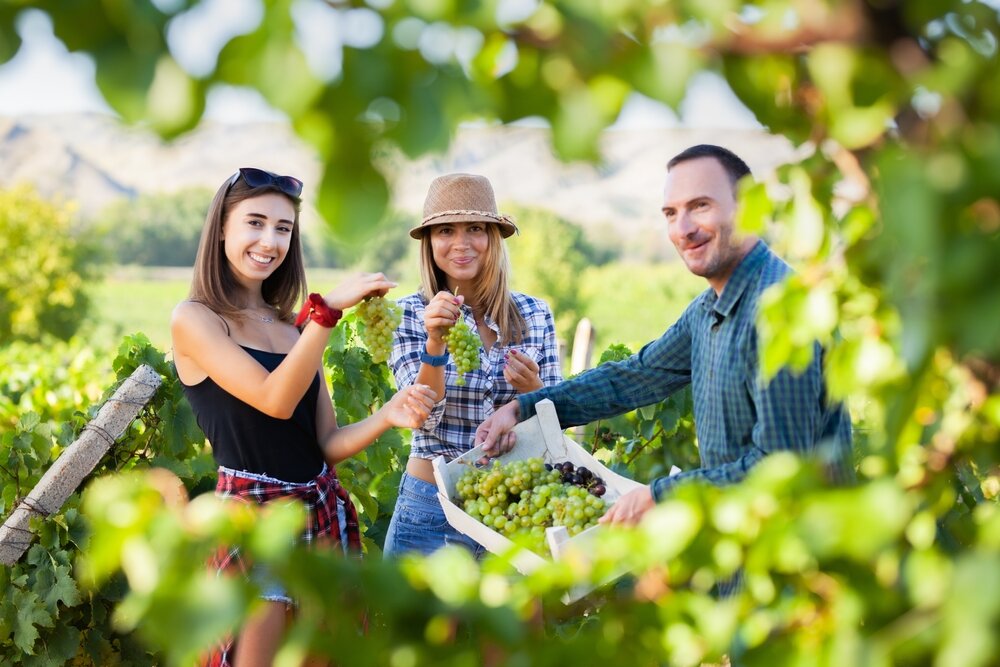 shutterstock_2113323473.jpg