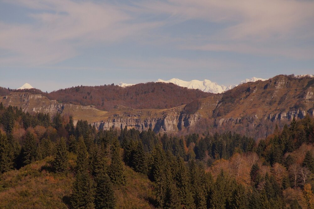 xt8n6wRirNE.jpg