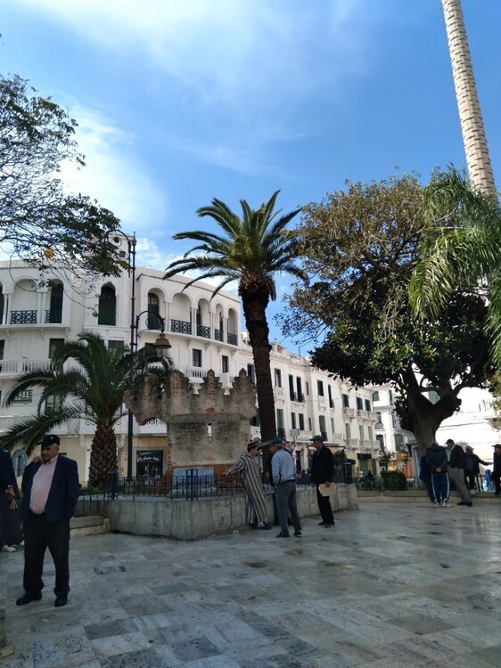 20241101_113748.thumb.jpg.cee3eb3129e4a79c3cffe17cdf8b652b.jpg