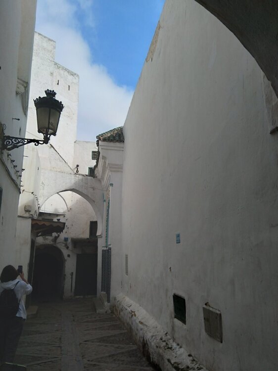 20241101_121549.thumb.jpg.43891dfb8654efbc38af16771b6a2f97.jpg