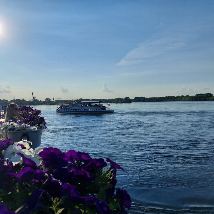 20260614_190624.jpg