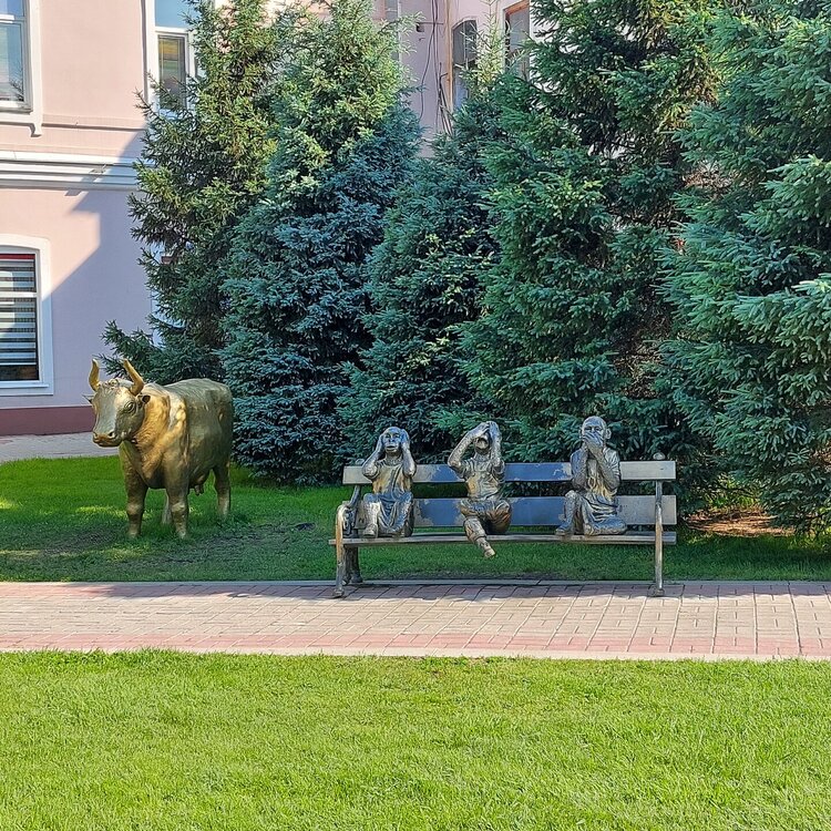 20260615_091207.jpg