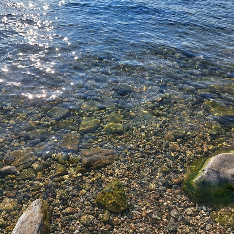 20260615_181743.jpg