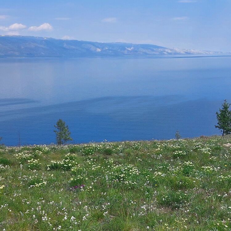 20260616_123754.jpg