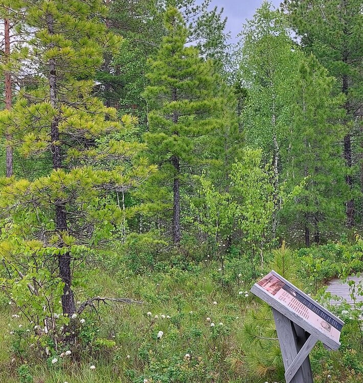 20260619_141553.jpg