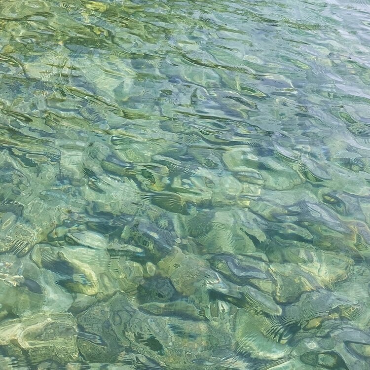 20260620_110504.jpg