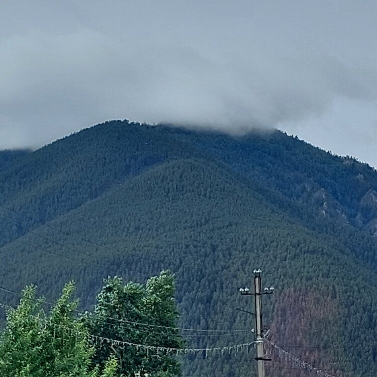 20260621_155244.jpg