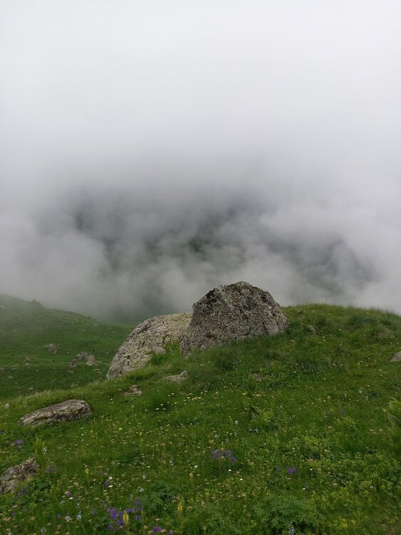 20260716_115610.jpg