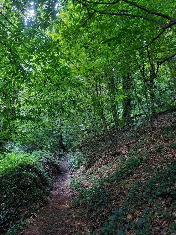 20260720_130924.jpg