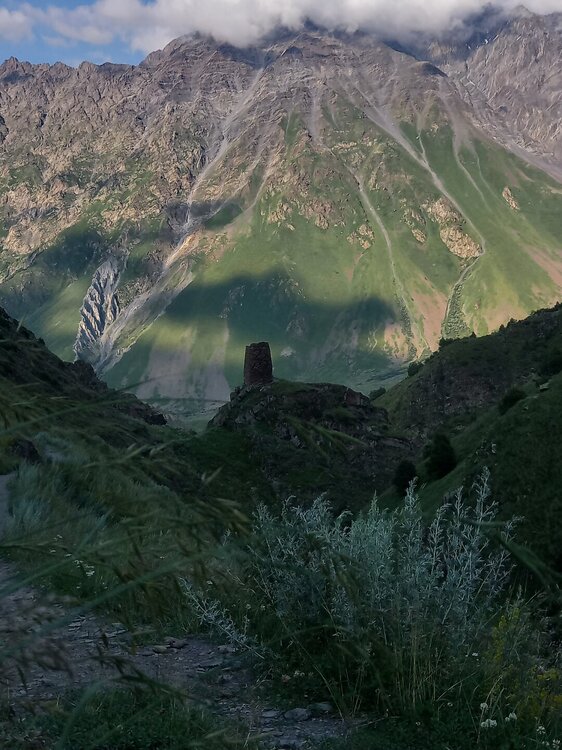 20260723_181613.jpg