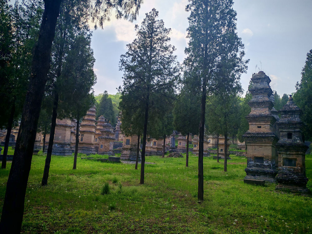 96.jpg