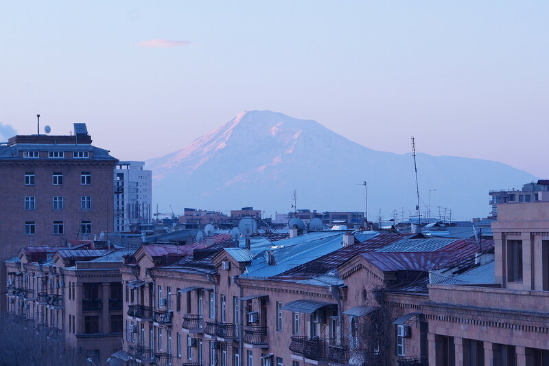 DSC08437.jpg