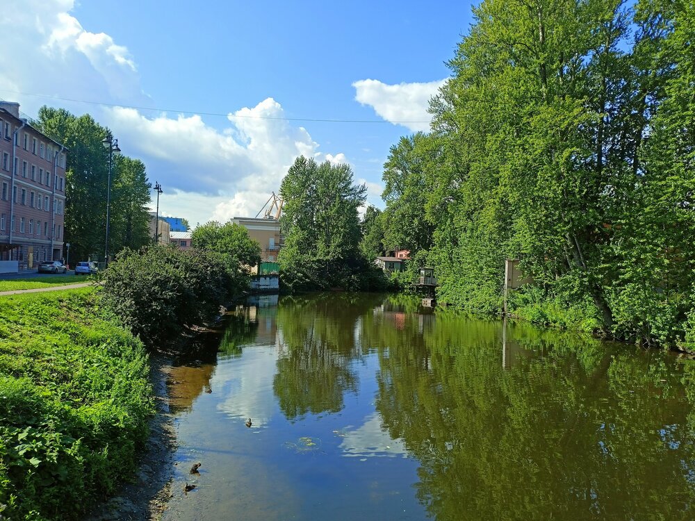 IMG20260724111307.jpg