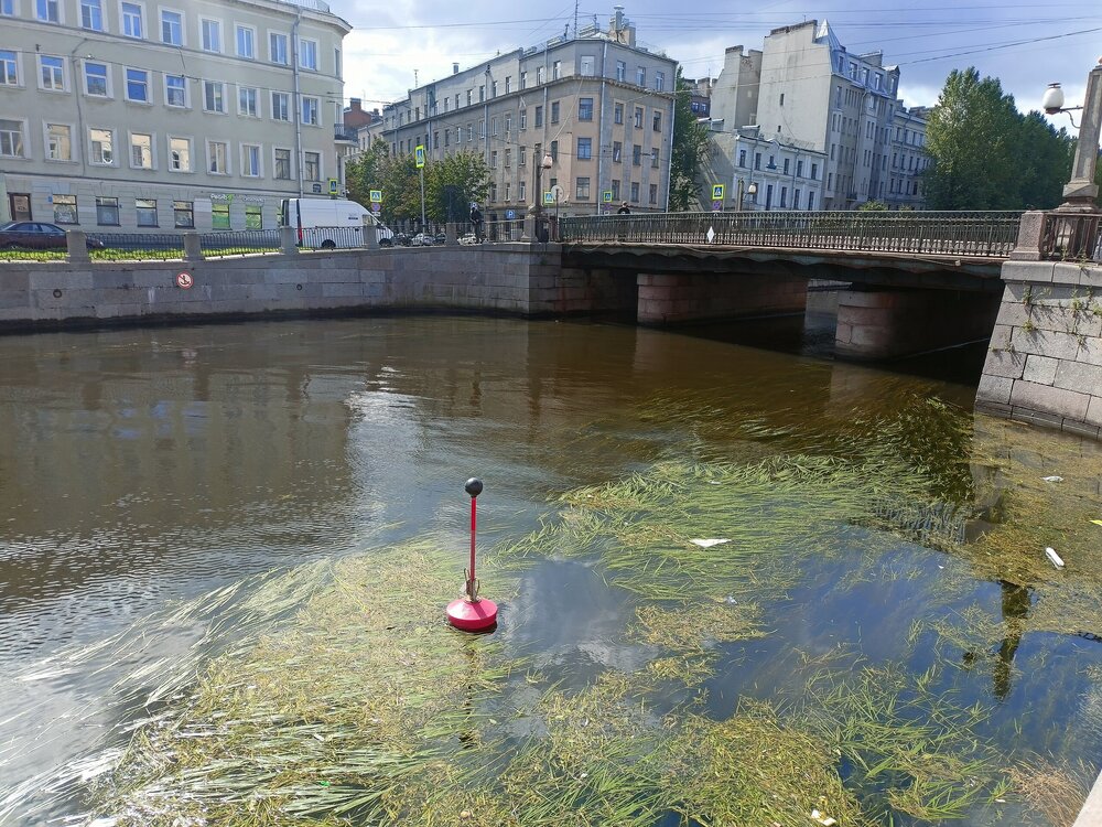 IMG20260724112758.jpg