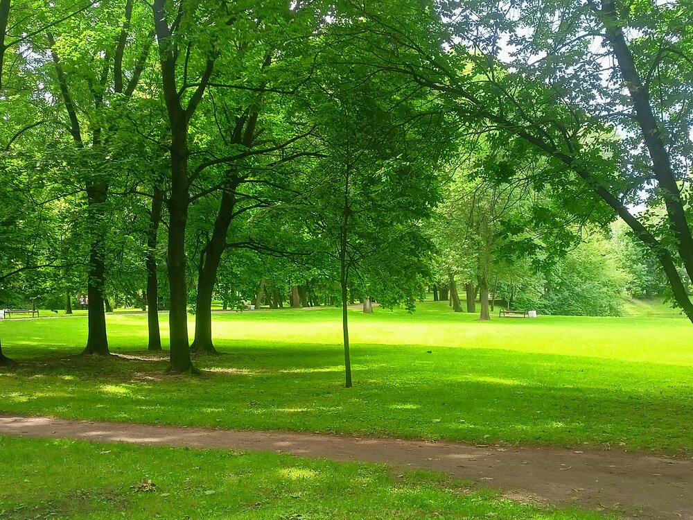 IMG20260724141528.jpg