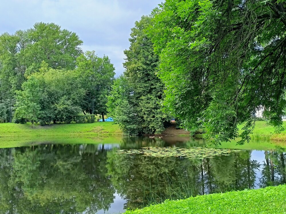 IMG20260724141707.jpg