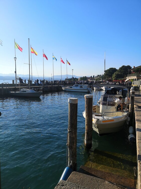 IMG_20260501_182136.jpg