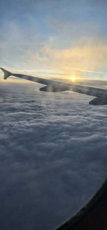 IMG_20260509_043552.jpg