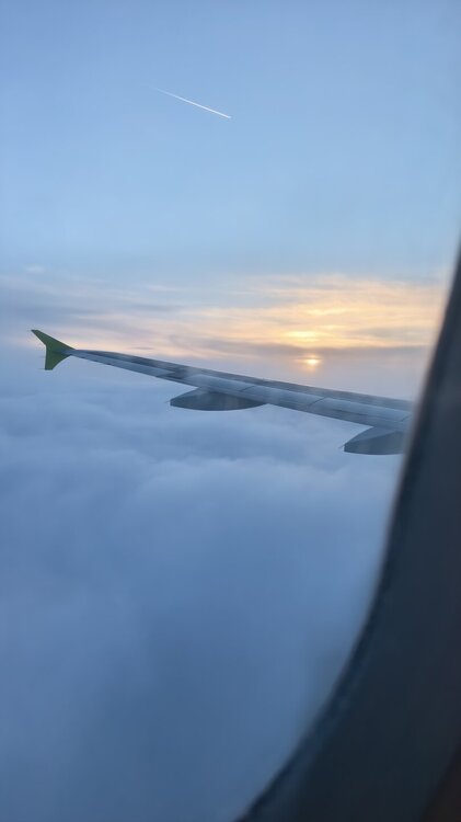 IMG_20260509_044236.jpg