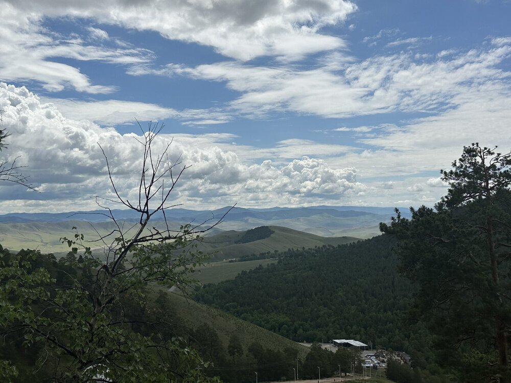 IMG_2206.jpeg