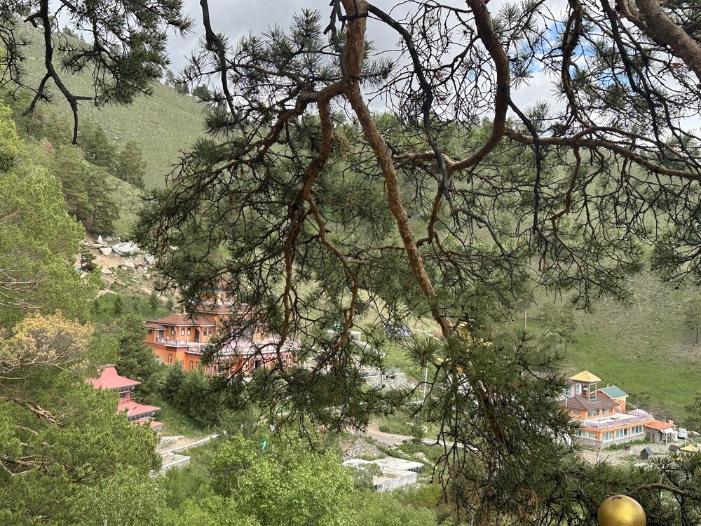 IMG_2208.jpeg