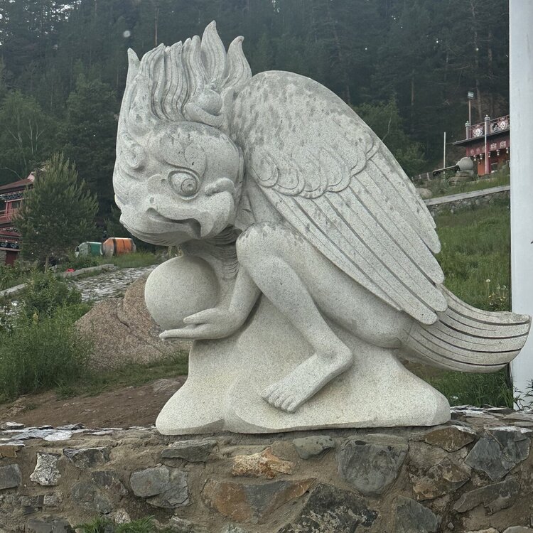 IMG_2253.jpeg