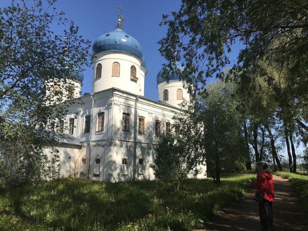 IMG_2375.jpeg