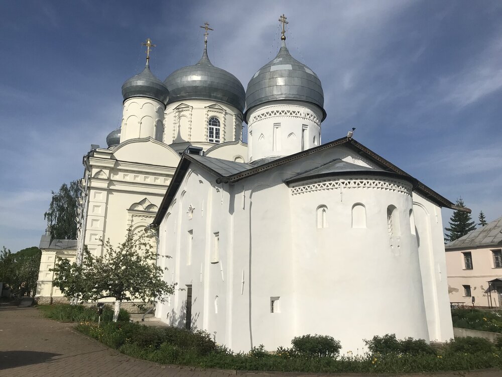 IMG_2485.jpeg