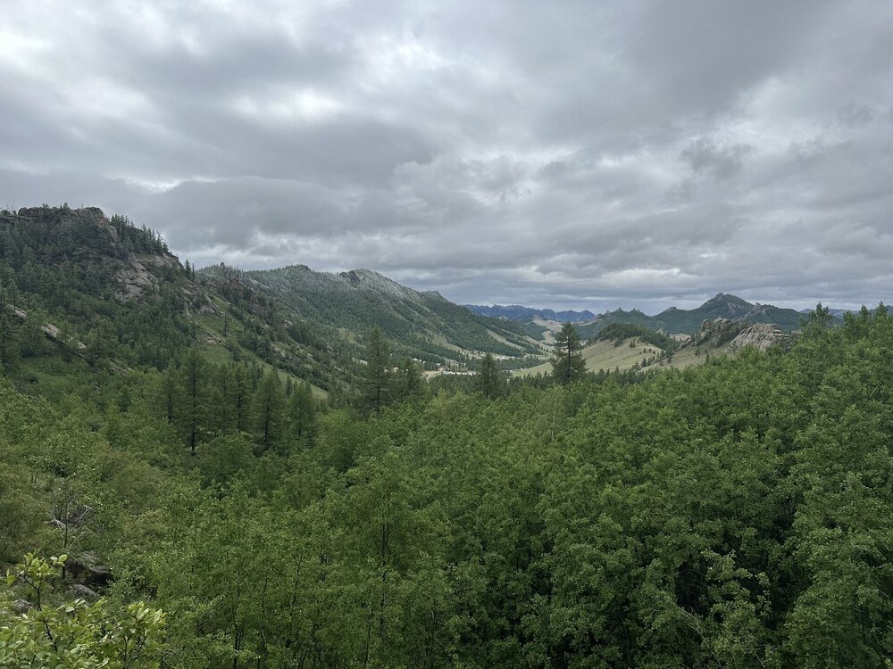 IMG_3052.jpeg