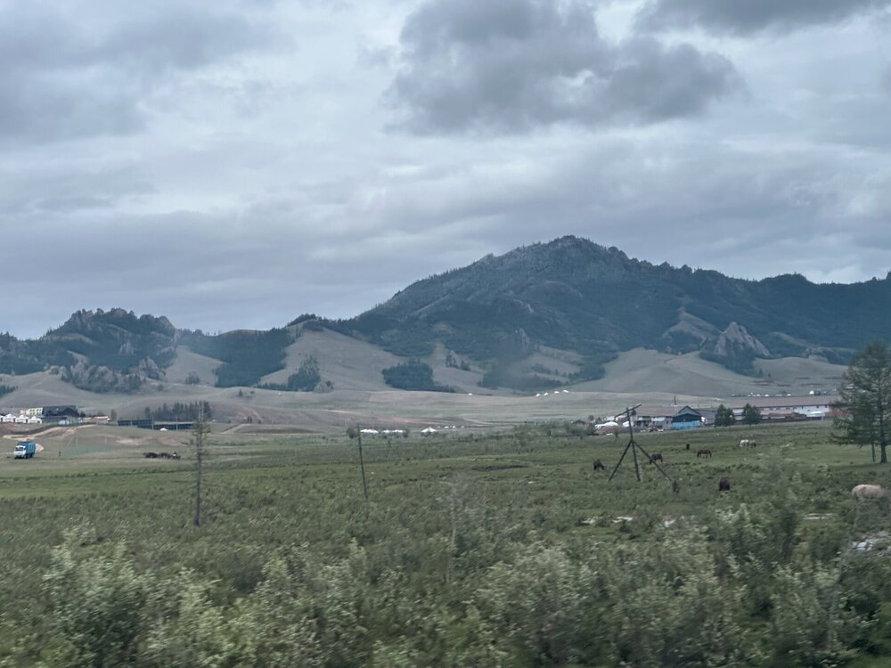 IMG_3149.jpeg