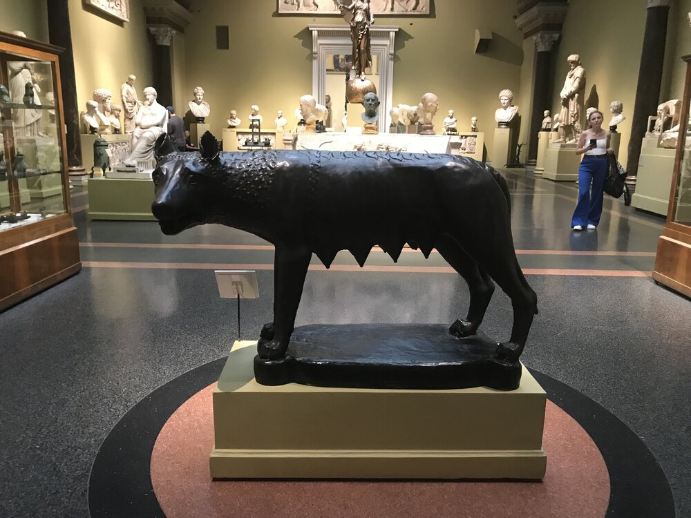 IMG_3506.jpeg
