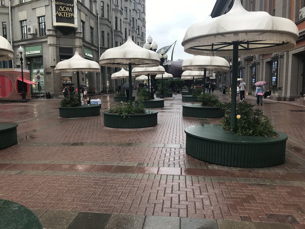 IMG_3619.jpeg