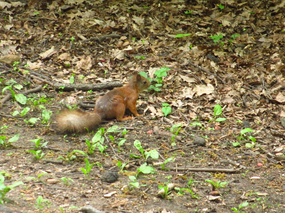 IMG_4014.JPG