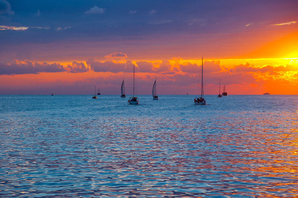 shutterstock_1905514078-1.jpg