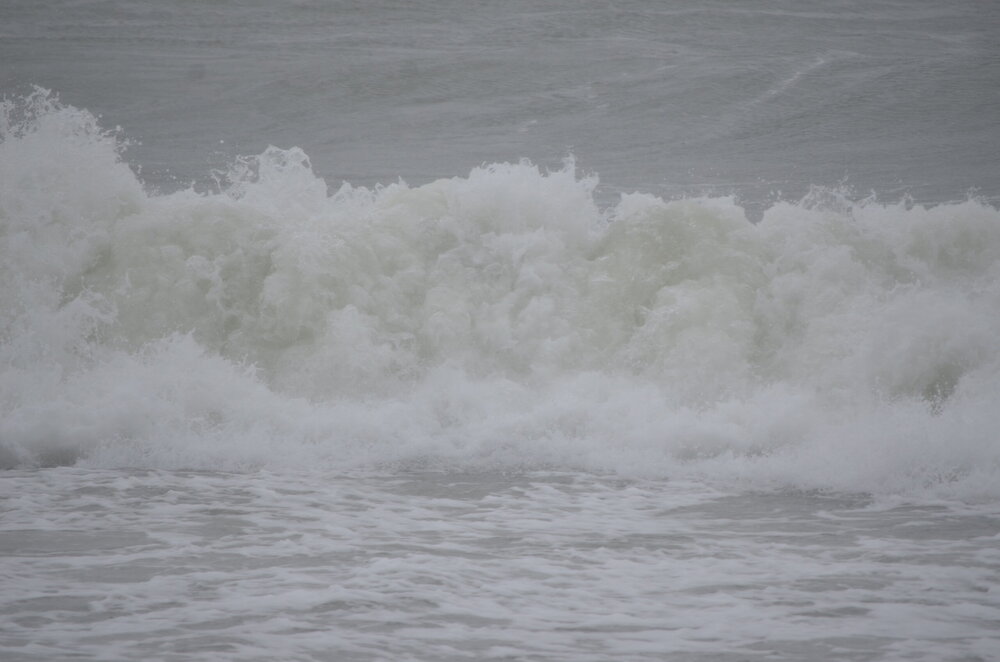 DSC_8119.JPG