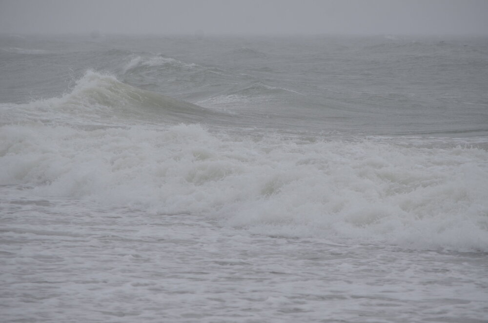 DSC_8125.JPG