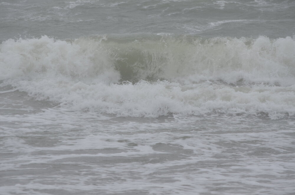 DSC_8142.JPG
