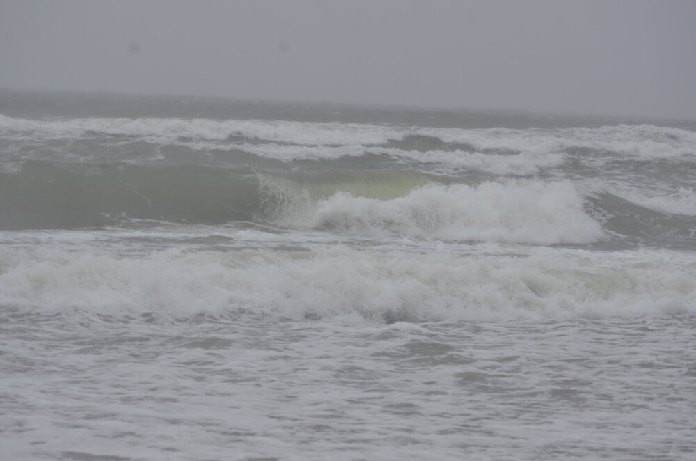 DSC_8174.JPG