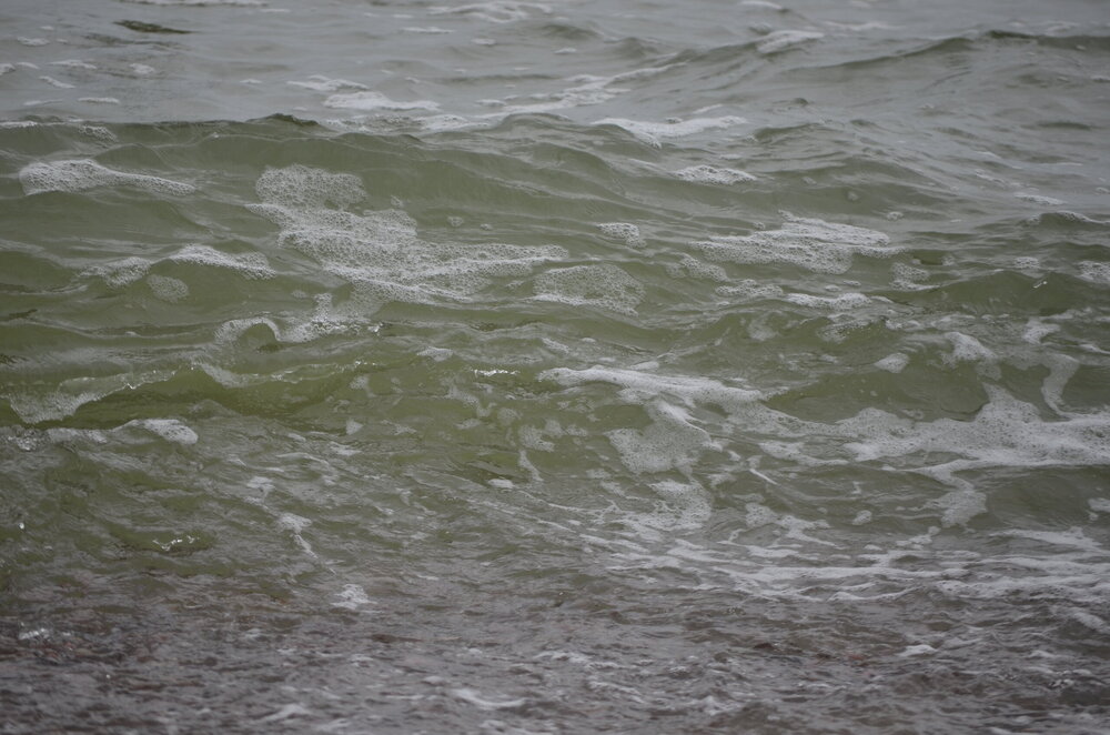 DSC_8256.JPG