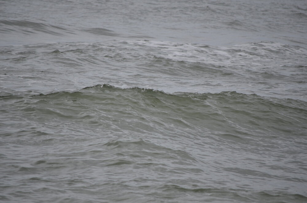 DSC_8300.JPG