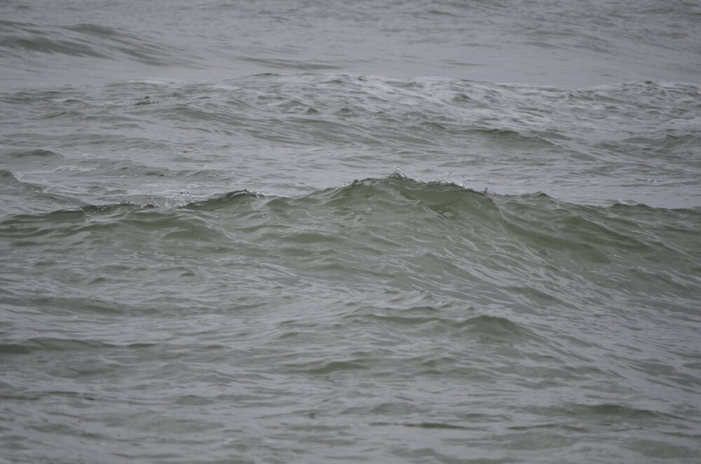 DSC_8301.JPG