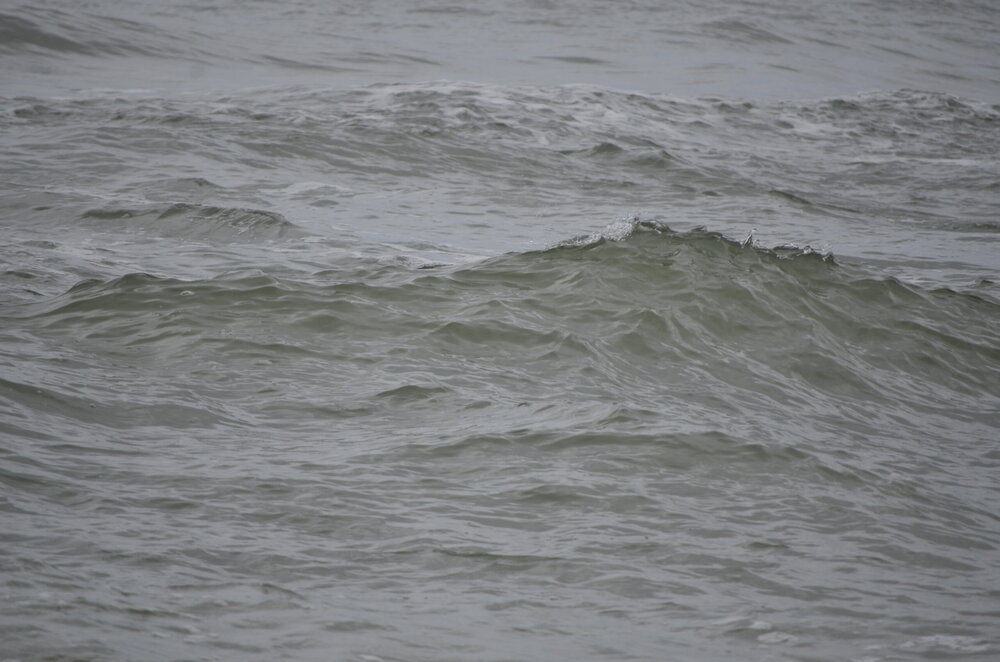 DSC_8302.JPG