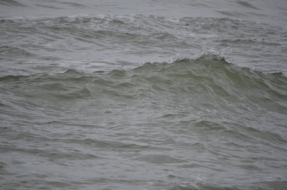 DSC_8303.JPG