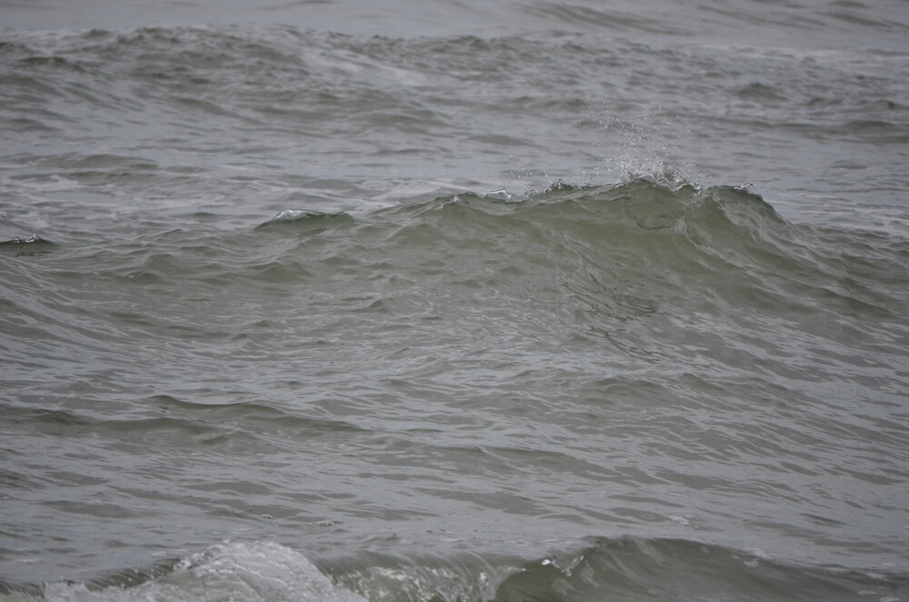 DSC_8304.JPG