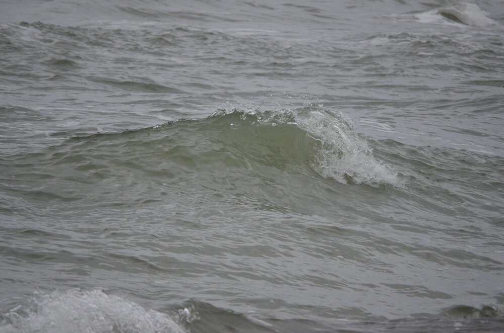 DSC_8305.JPG